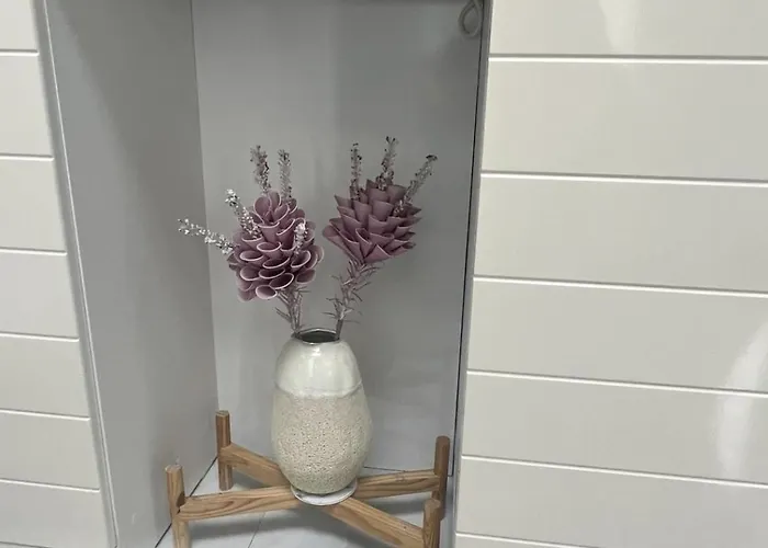 Smile In Center * Tirana