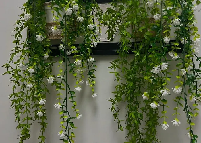 Appartamento Smile In Center Tirana