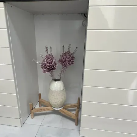 Smile In Center * Tirana